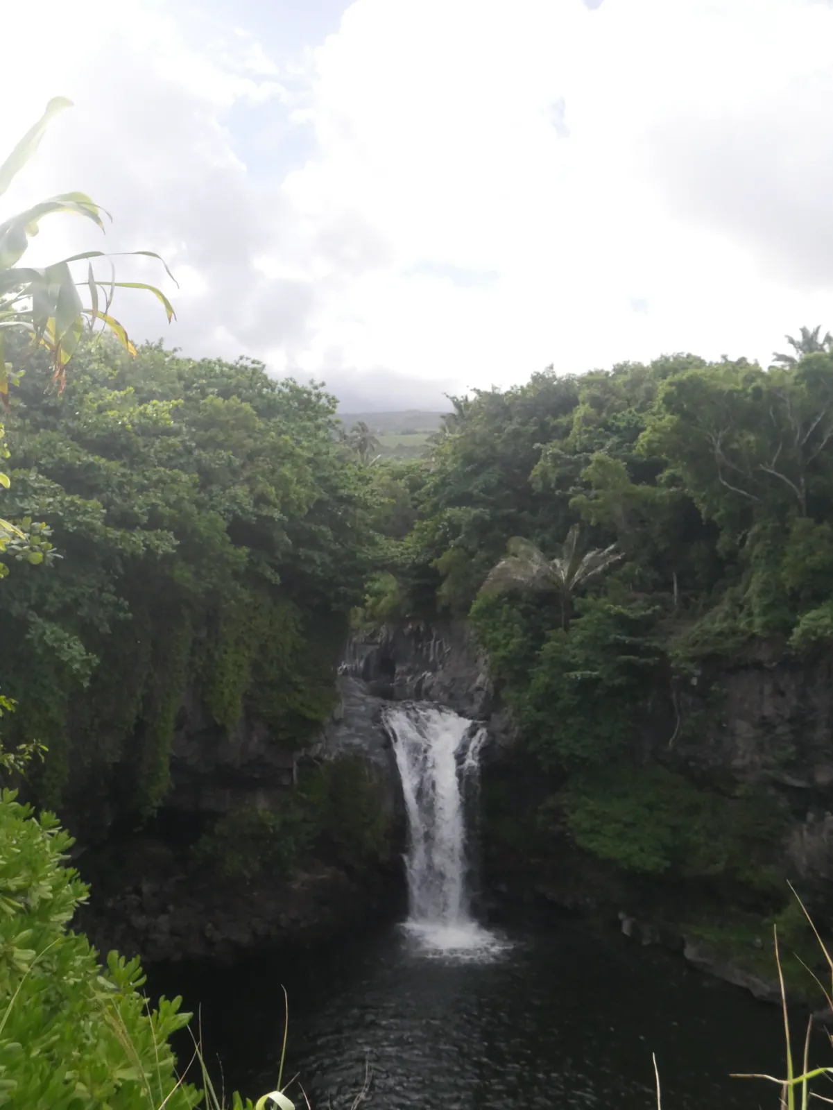 Waterfall surrounded by tropical greenery