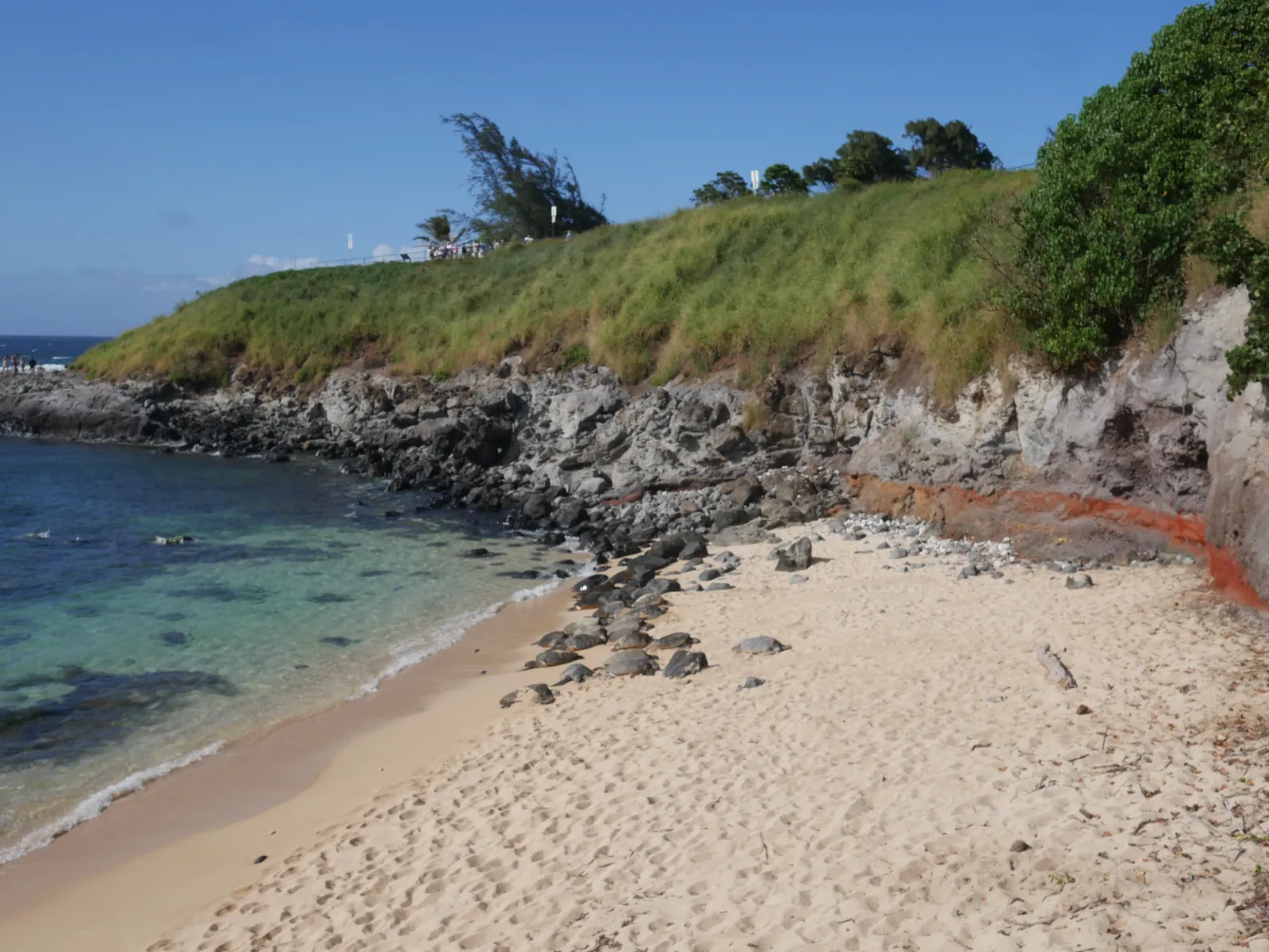Quiet cove with clear blue water
